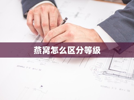 燕窝怎么区分等级