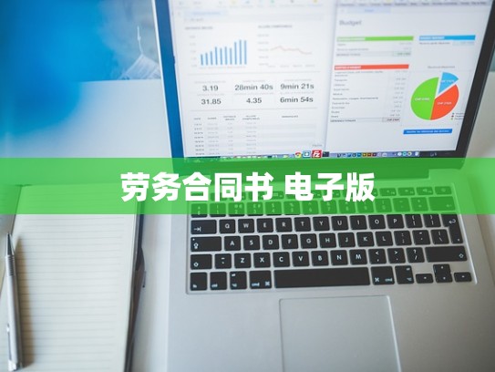 劳务合同书 电子版