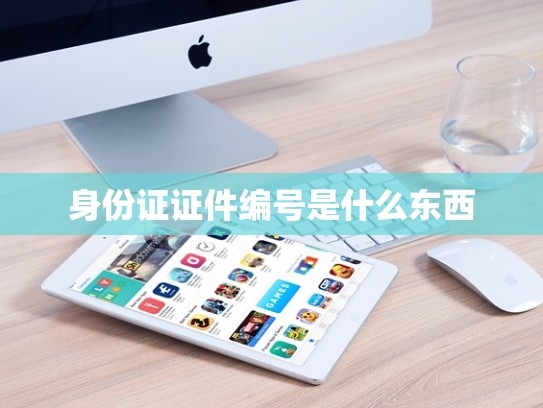 身份证证件编号是什么东西