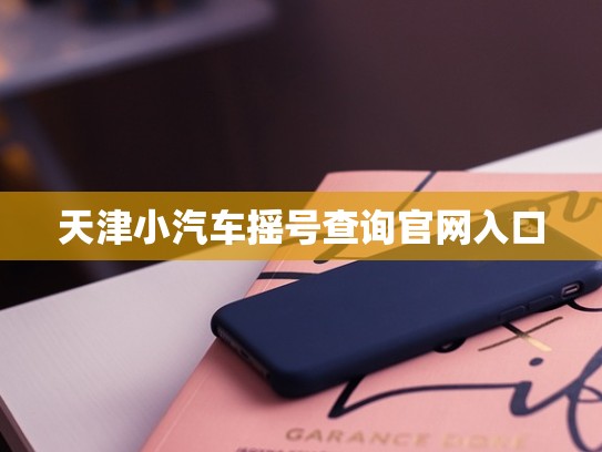 天津小汽车摇号查询官网入口