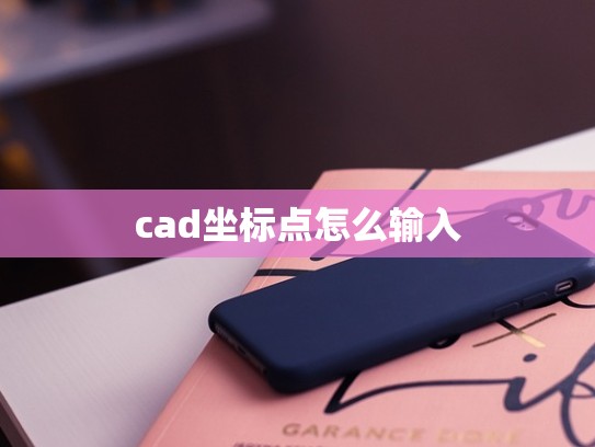 cad坐标点怎么输入