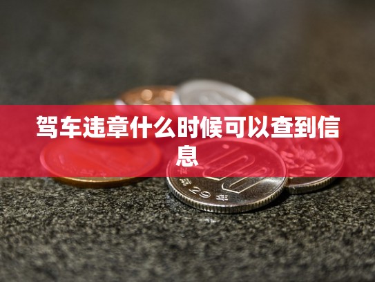 驾车违章什么时候可以查到信息