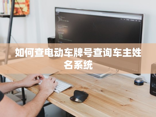 如何查电动车牌号查询车主姓名系统