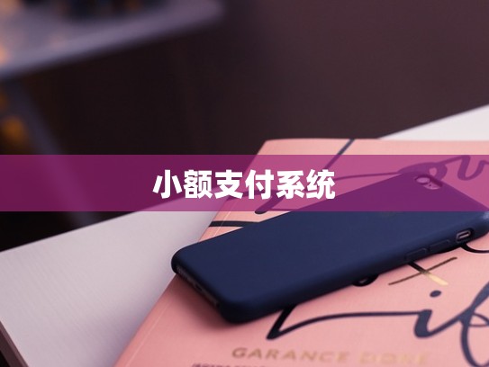 小额支付系统
